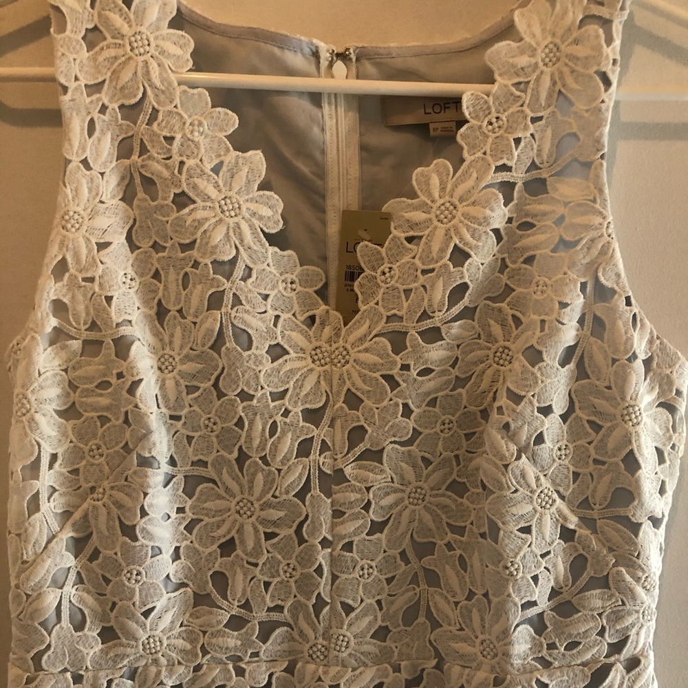 HP LOFT Lace Dress with Pale Blue Underlay NWT Women’s Size 8P - Picture 4 of 9